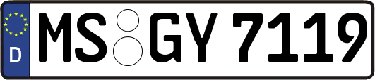 MS-GY7119
