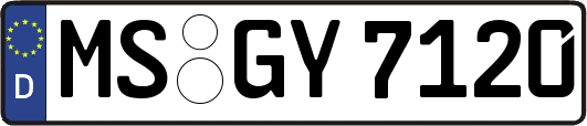 MS-GY7120
