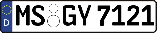 MS-GY7121