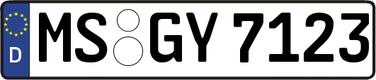MS-GY7123