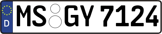 MS-GY7124
