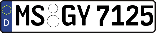 MS-GY7125