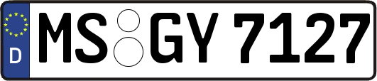MS-GY7127