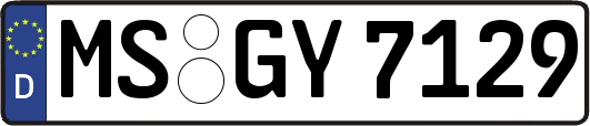 MS-GY7129