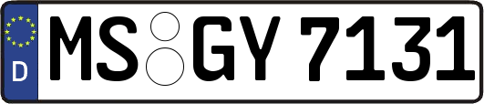 MS-GY7131