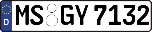 MS-GY7132