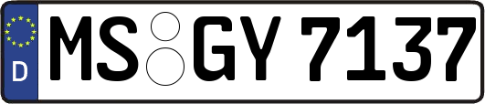 MS-GY7137