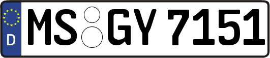 MS-GY7151
