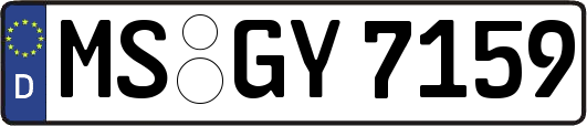MS-GY7159