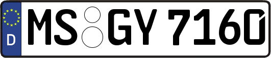 MS-GY7160