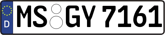 MS-GY7161