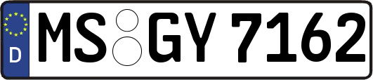 MS-GY7162