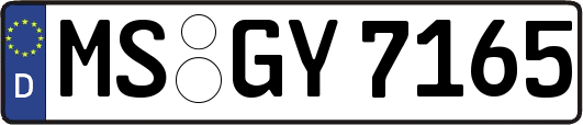 MS-GY7165