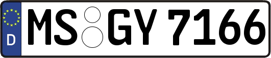 MS-GY7166