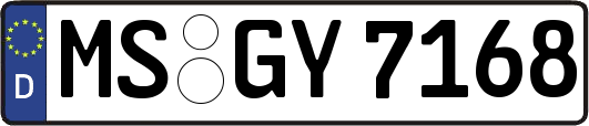 MS-GY7168