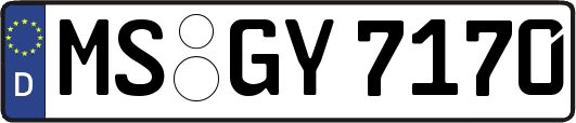 MS-GY7170