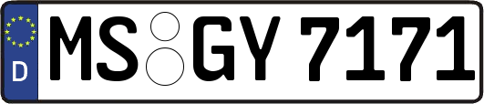 MS-GY7171