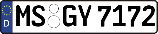 MS-GY7172