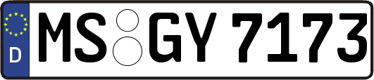 MS-GY7173