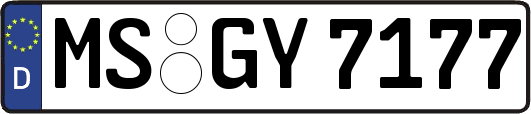 MS-GY7177