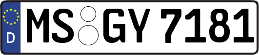 MS-GY7181