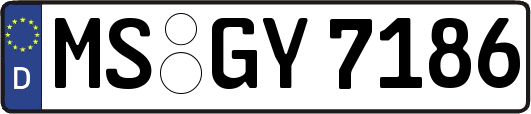 MS-GY7186