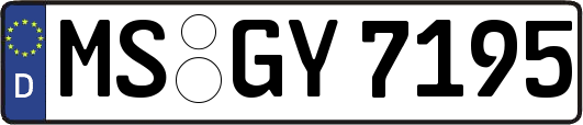 MS-GY7195