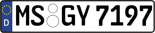 MS-GY7197