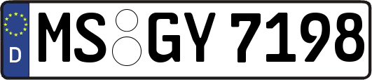 MS-GY7198