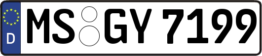 MS-GY7199