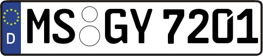 MS-GY7201