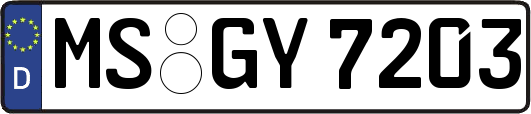 MS-GY7203