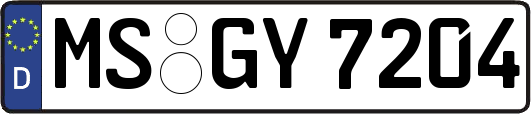 MS-GY7204