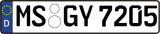 MS-GY7205