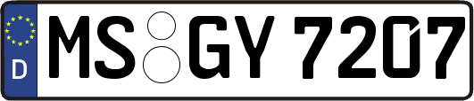 MS-GY7207