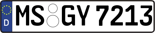 MS-GY7213