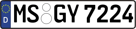 MS-GY7224
