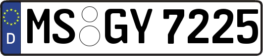 MS-GY7225