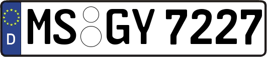 MS-GY7227
