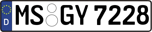 MS-GY7228