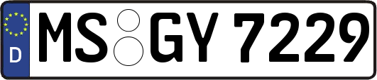 MS-GY7229