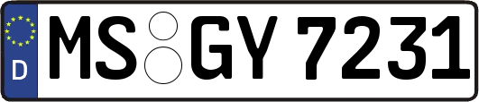 MS-GY7231