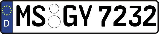 MS-GY7232