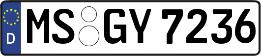 MS-GY7236