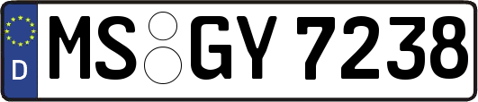 MS-GY7238
