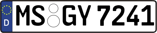 MS-GY7241