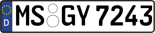 MS-GY7243
