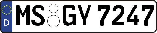 MS-GY7247