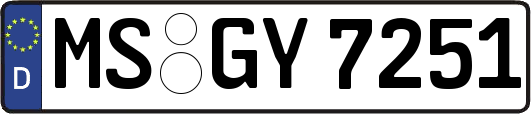 MS-GY7251