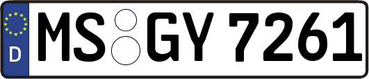 MS-GY7261